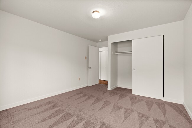 Relax in a freshly updated bedroom featuring plush carpet, ample closet space, and a bright, neutral palette ready for your personal touch. - Windemere Apartments
