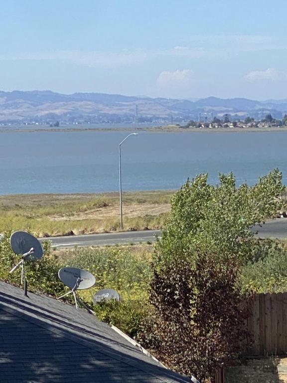 Building Photo - 555 Lighthouse Dr