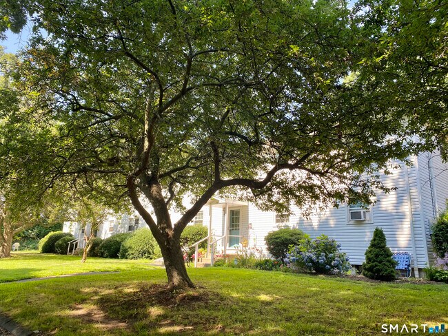 Building Photo - 24 College St