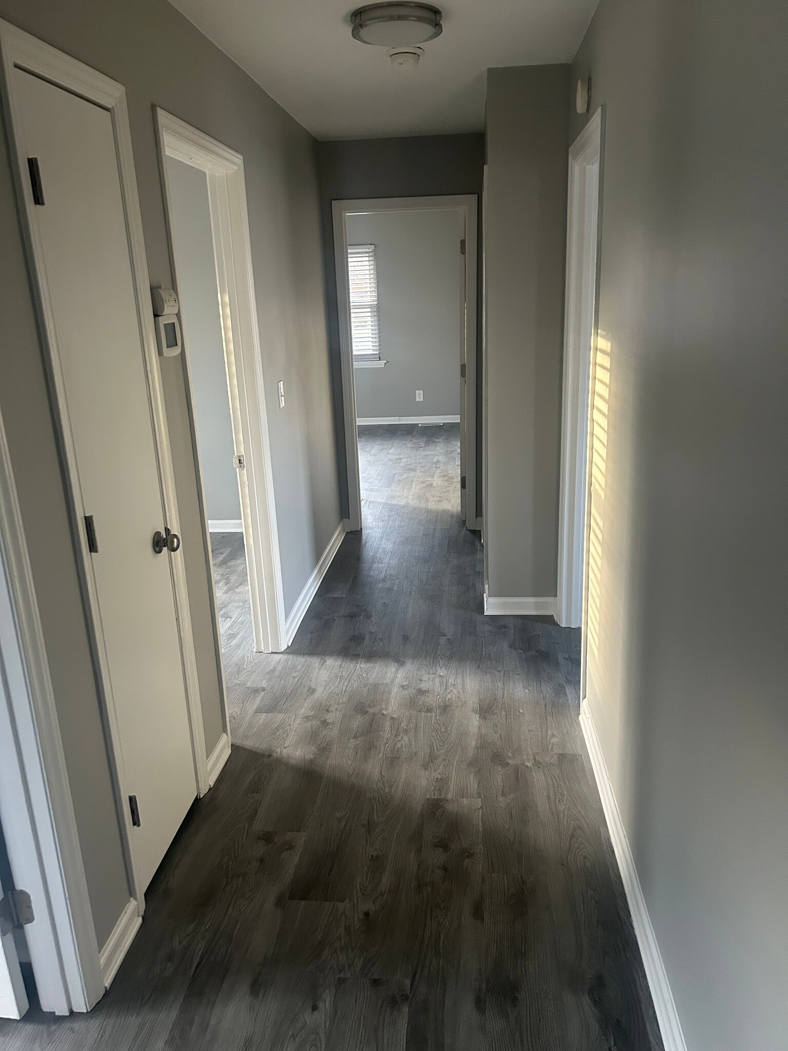 Hall facing Primary - 102 Greentree Dr