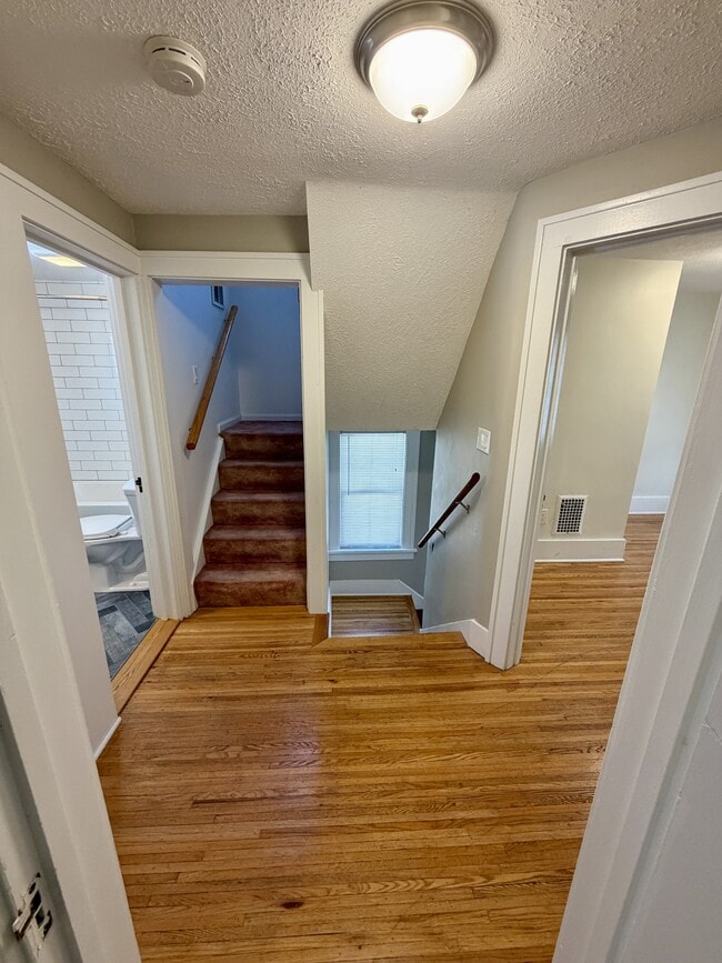 Building Photo - 41 Mildorf St