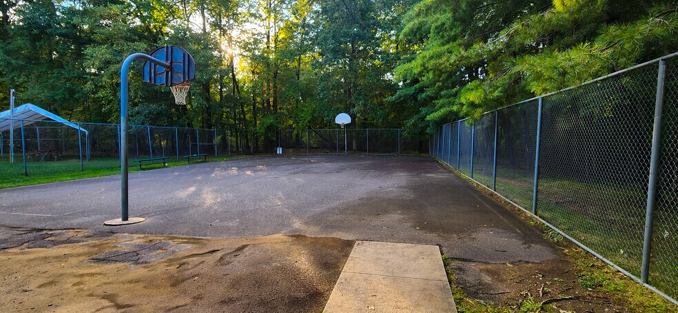 Community Basket ball court - 1103 Roseberry Ct