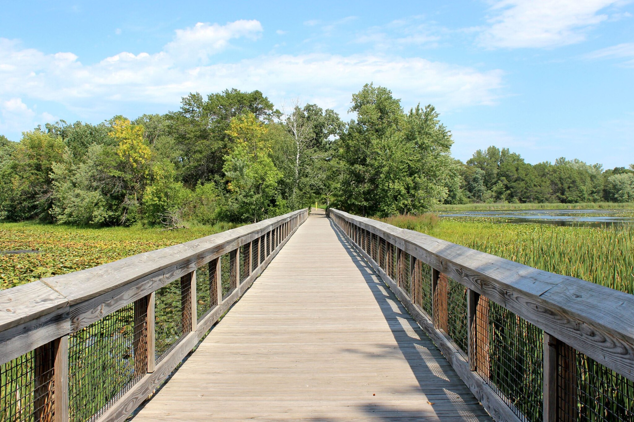 Oakdale Nature Preserve - 7078 48th St N