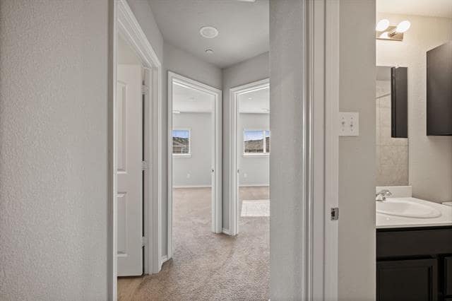 Building Photo - 3500 Brentwood Dr