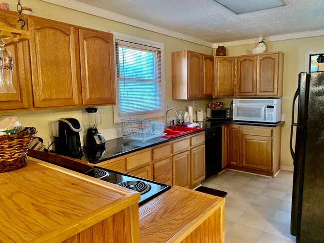 Building Photo - Blairsville Rental - Open House Sat. March...