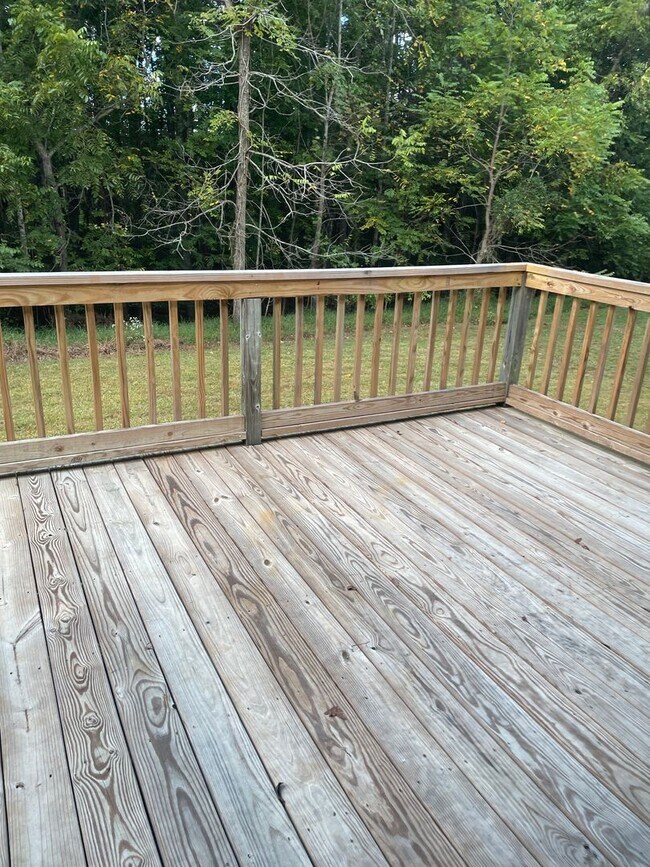 Building Photo - 4020 Selda Dr