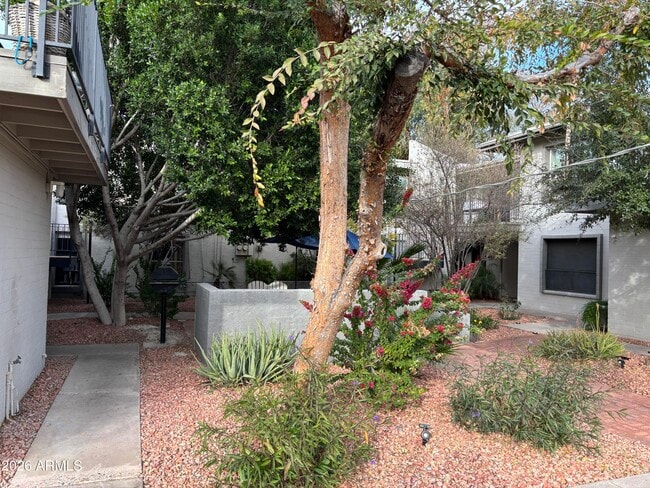 Building Photo - 4111 E Camelback Rd