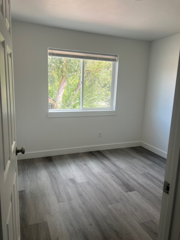 Building Photo - 115 Skeels Ave