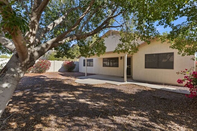 Building Photo - Beautiful Alta Mesa Home!