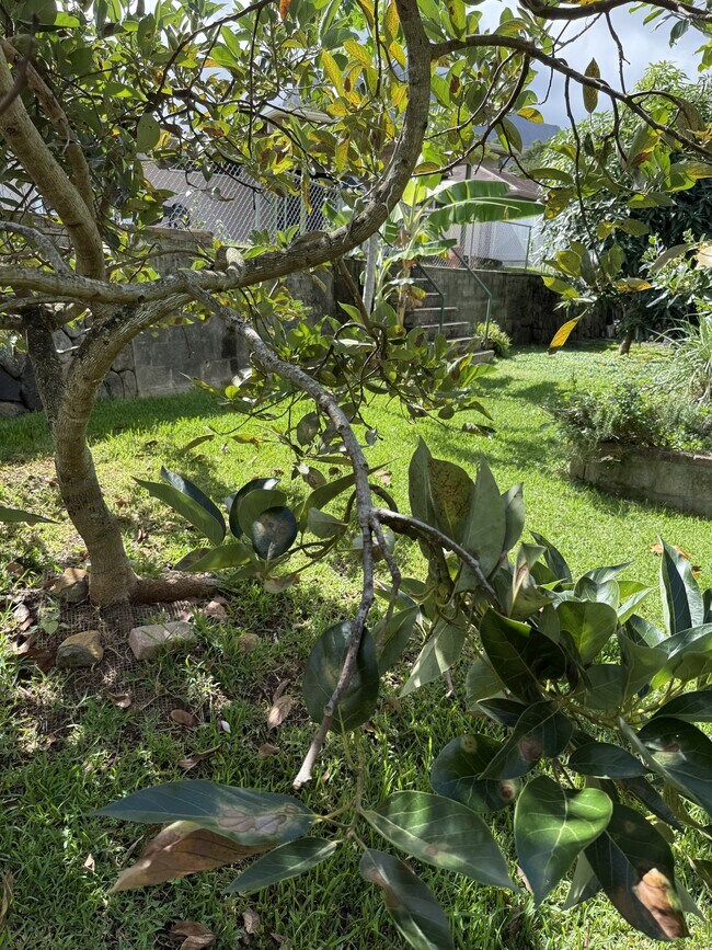 Building Photo - 46-305-305 Hoauna St