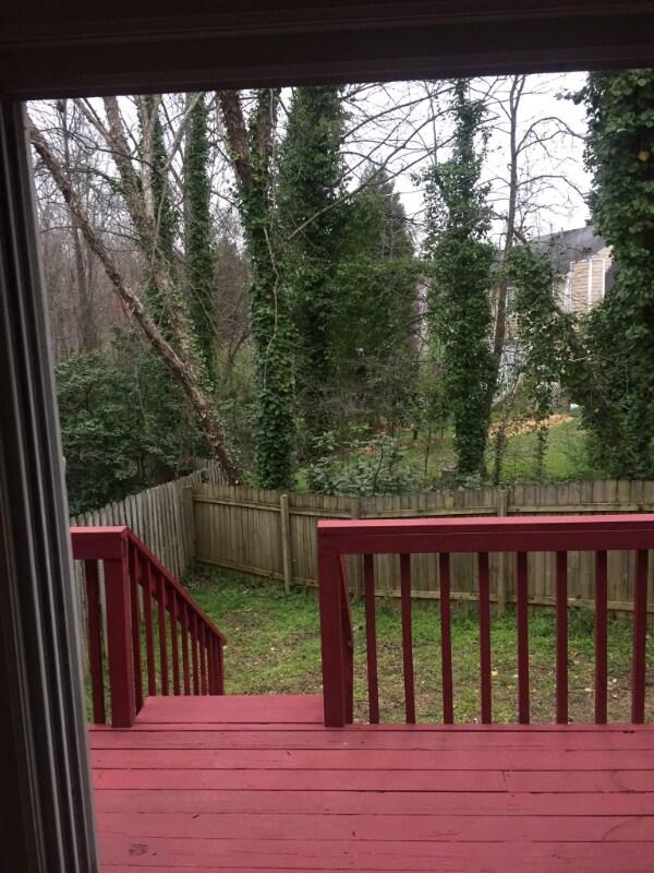 Building Photo - 3811 Meadow Green Ct