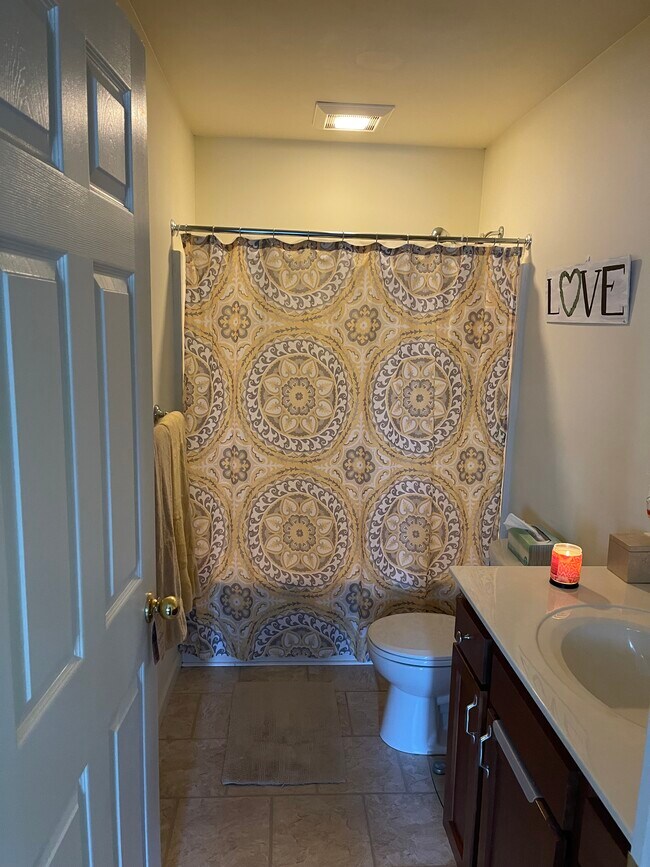 202 Sheridan Ave 202 Sheridan Ave Albany NY 12210 Apartment Finder