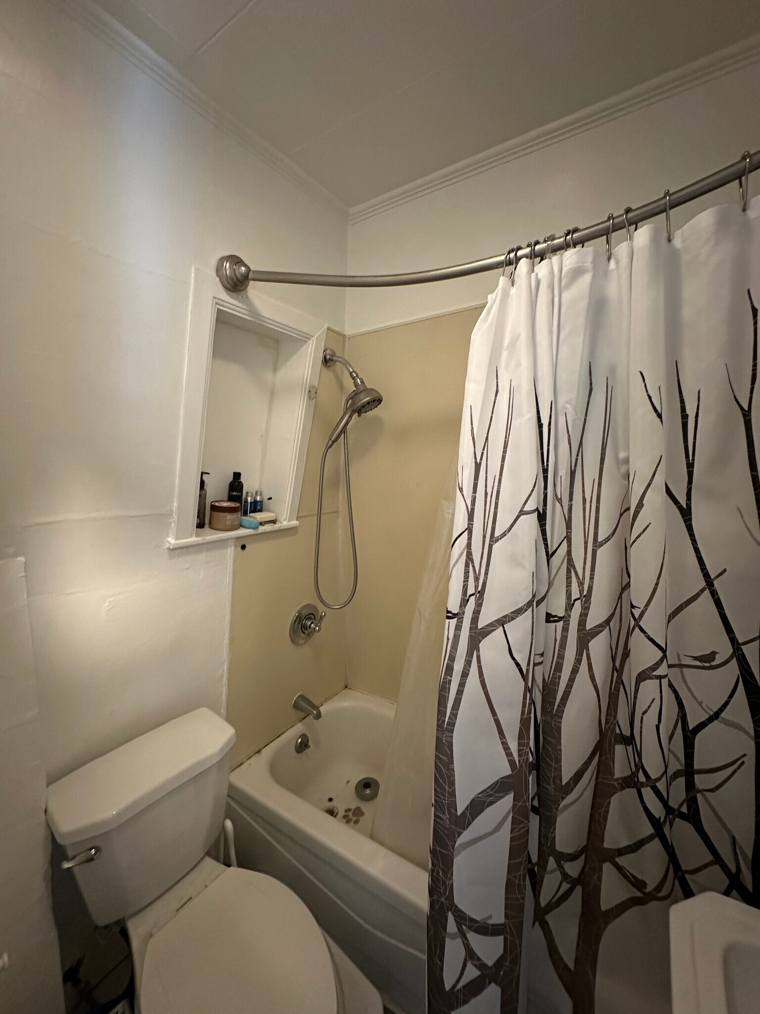 Building Photo - 282 Summer St