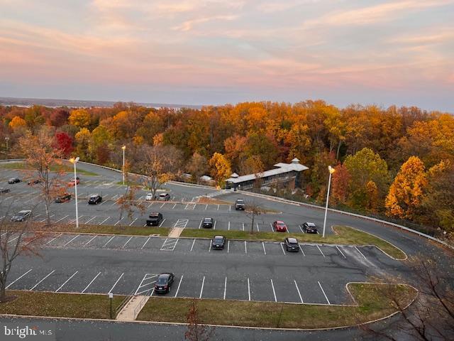 Building Photo - 1641 Ladue Ct