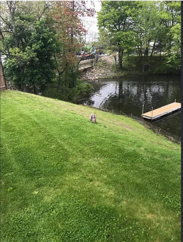 Building Photo - 3 Flagg Rd