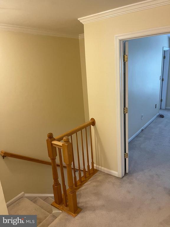 Building Photo - 1510 Northern Neck Dr