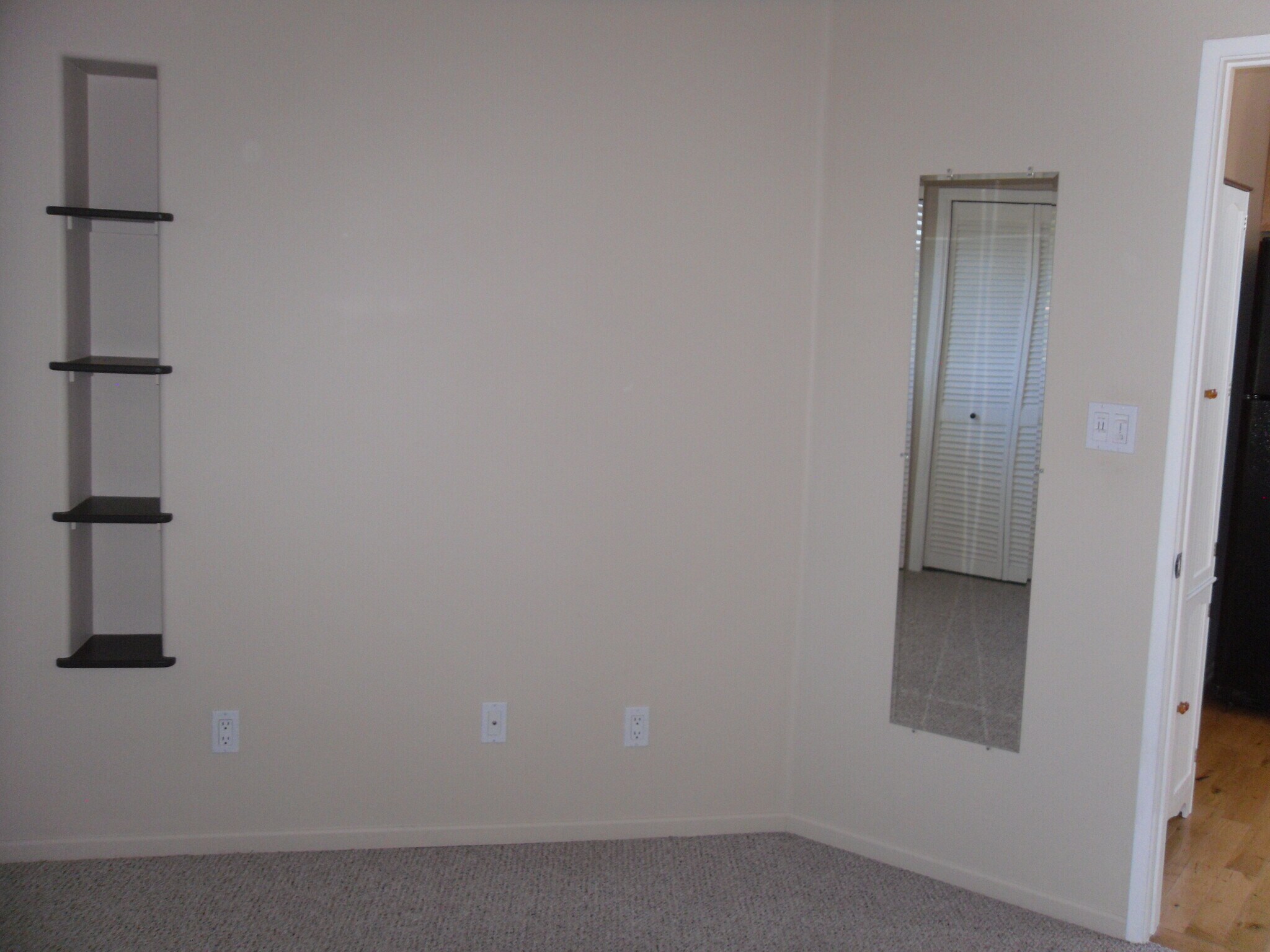 Bedroom shelves & mirror - 7304 Forbes Ave