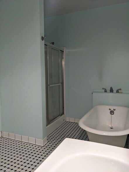 Soaking Tub and Walk in shower - 1133 S Washington Ave