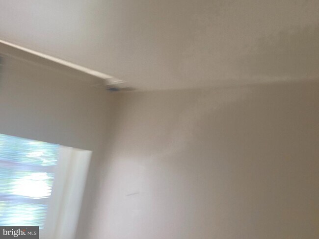 Building Photo - 14905 Cleese Ct