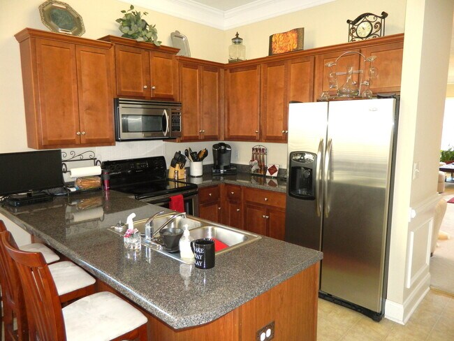 Building Photo - 2436 River Birch Dr
