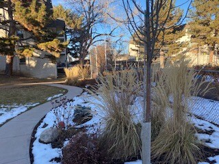 Building Photo - 2225 S Jasmine St