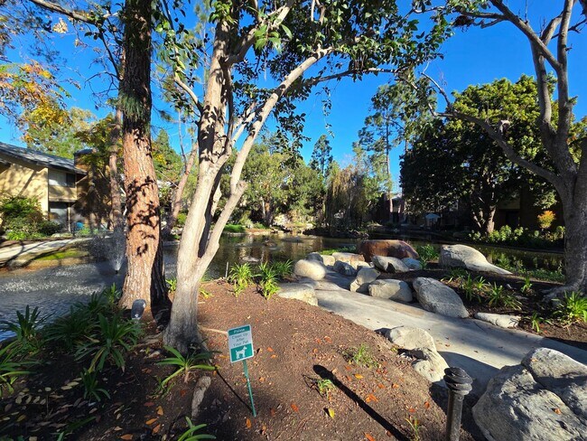 Building Photo - Charming 1 Bed, 1 Bath Lakewood Shores condo!