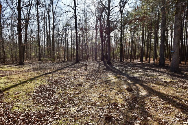 Building Photo - 3 Bedroom 2 Bath Home in Quitman