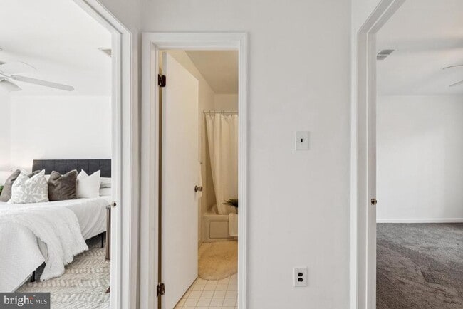 Building Photo - 218 Rector St