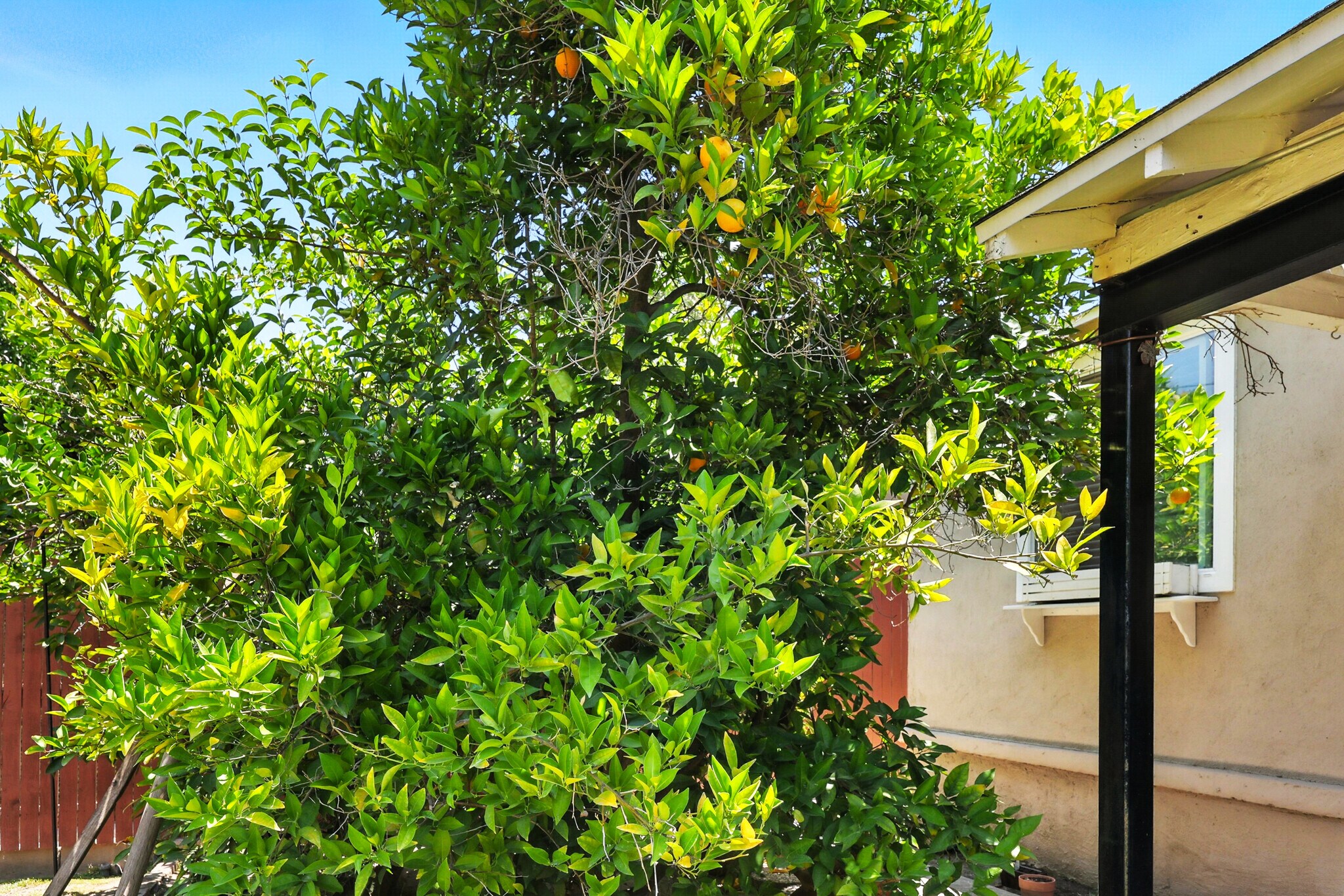 Building Photo - 22101 Buenaventura St