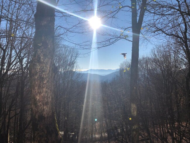 Building Photo - 344 Buckeye Rd