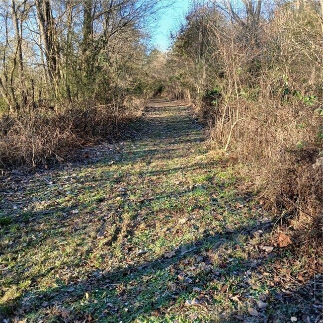 Building Photo - 241 Nacoochee Dr