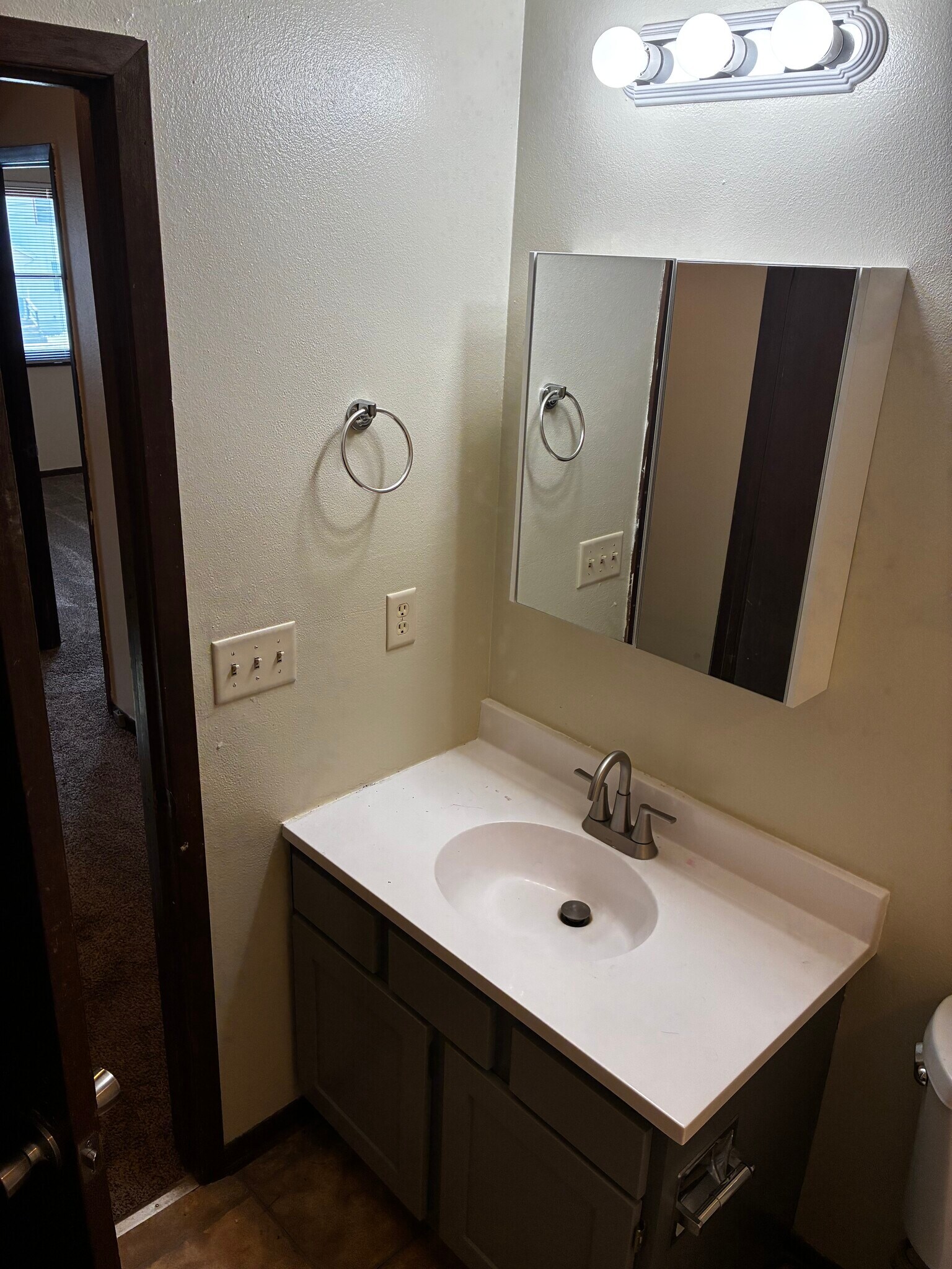 The vanity and medicine cabinet are new - 1205 Randolph St