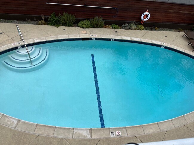 Swimming Pool - 349 S Linden Dr