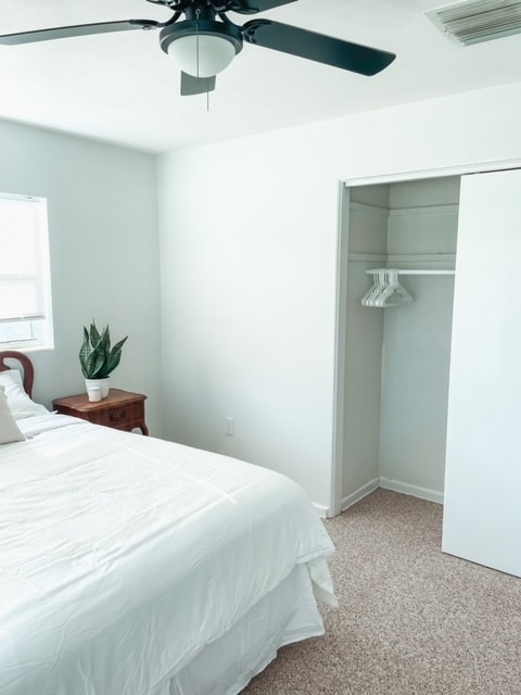 Building Photo - 453 Dolphin St