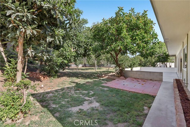 Building Photo - 1184 Lyndhurst Dr