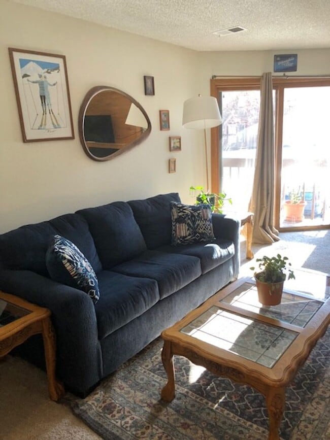 Building Photo - Furnished or Unfurnished One Bedroom / One Bath Apartment in Central Boulder
