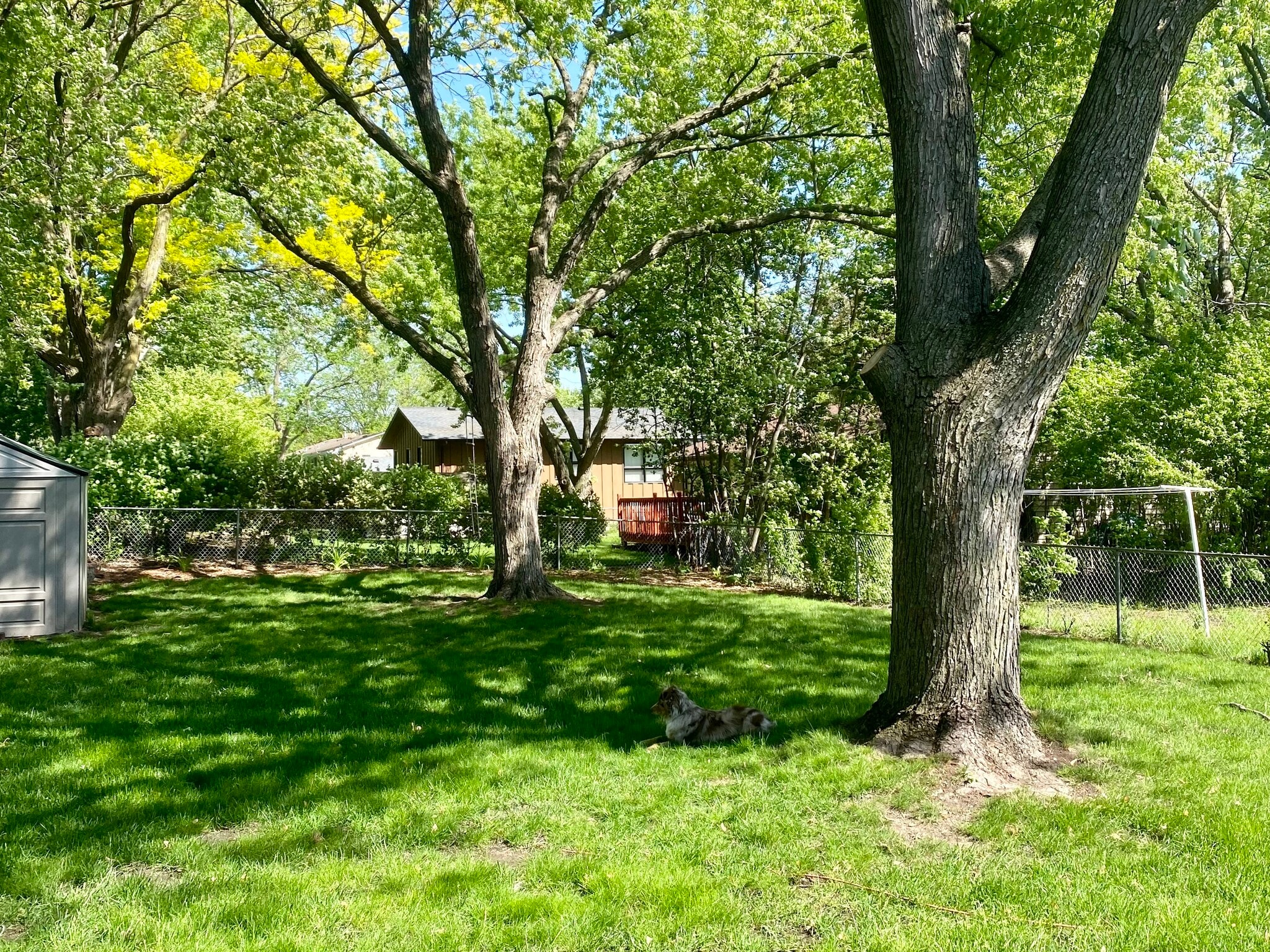 Building Photo - 9811 Rich Rd