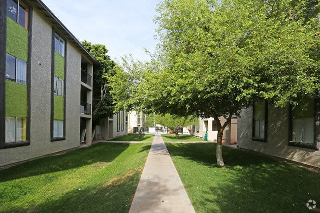 Building Photo - Contempo 15