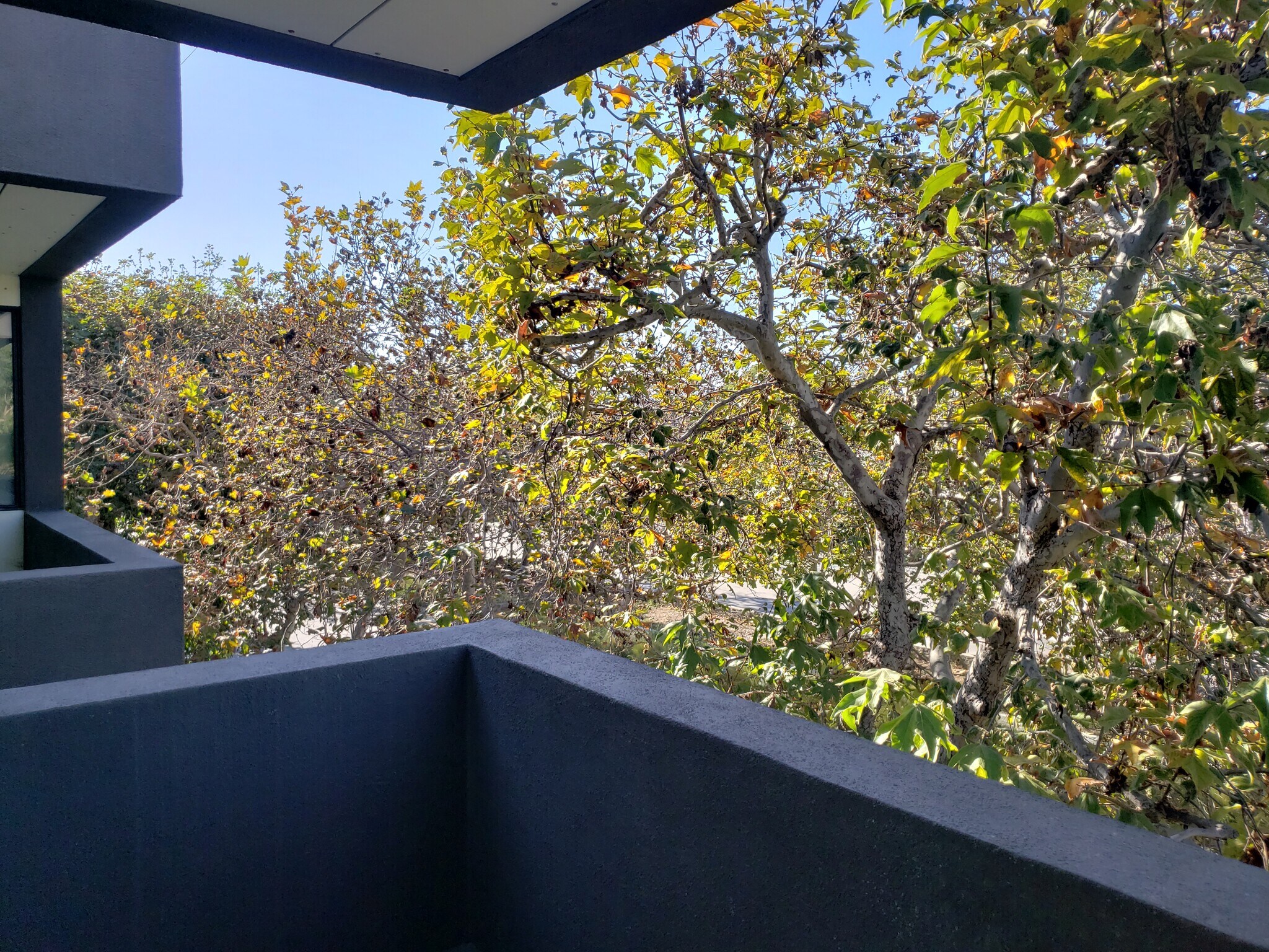 Building Photo - 424 S Venice Blvd