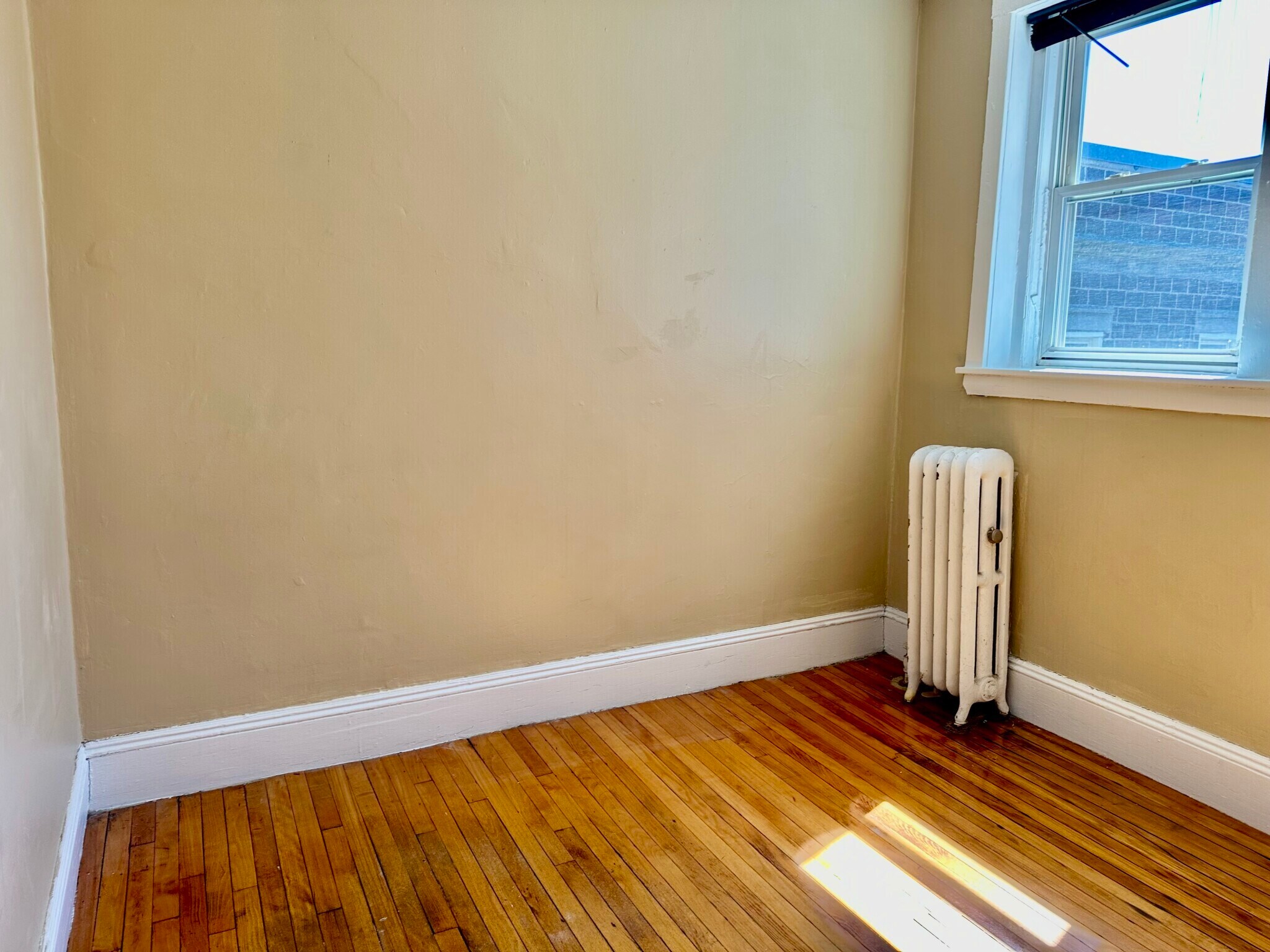 Building Photo - 74 Egmont St