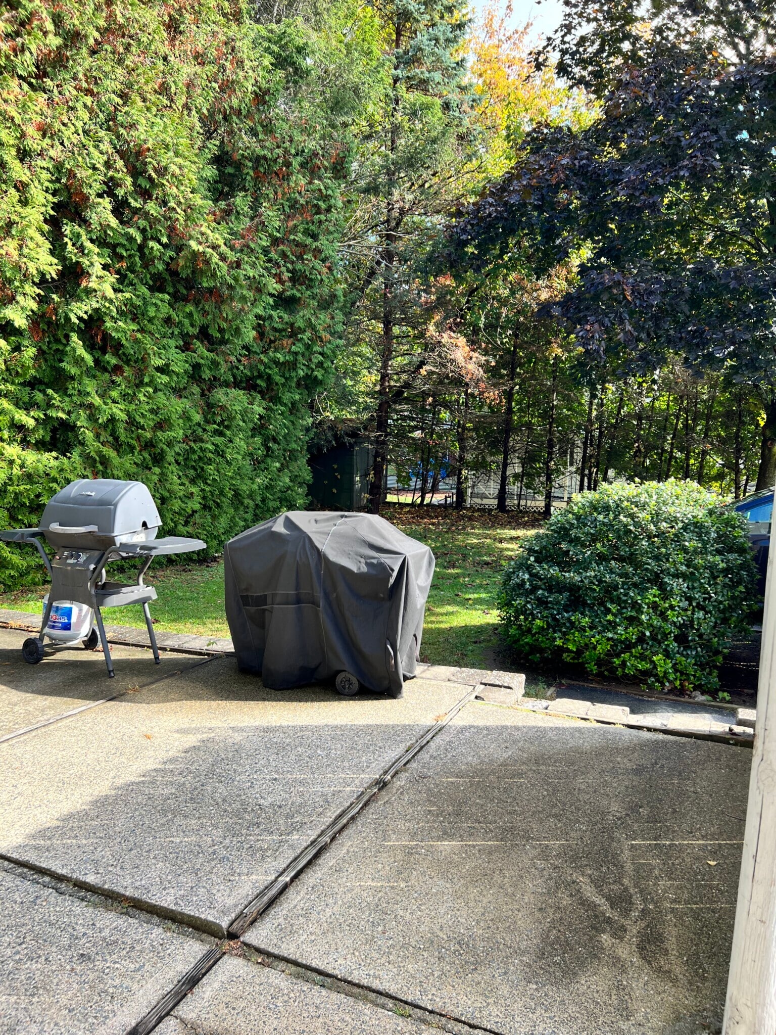 shared patio & yard area - 34 Lake Ave