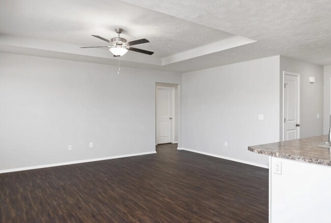 Building Photo - Brand new 4 bedroom home in Monett, MO!
