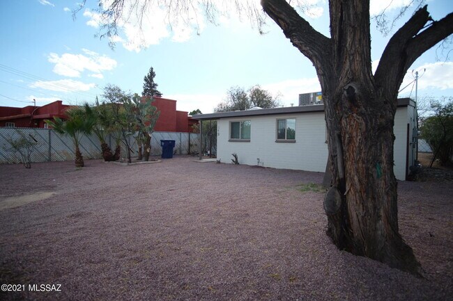 Building Photo - 919 N Catalina Ave
