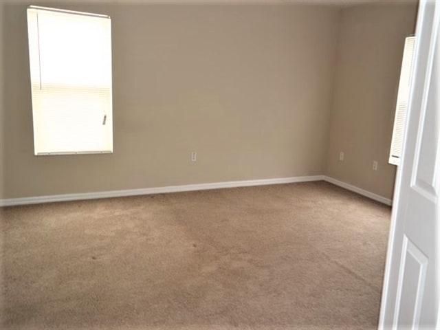 Building Photo - 3009 Park Ridge Ave