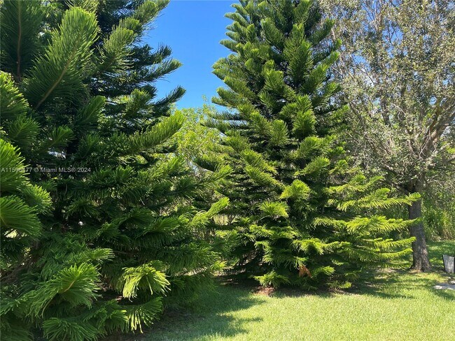 Building Photo - 6425 Las Palmas Way