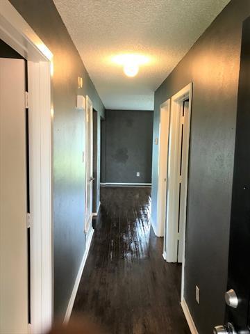 Building Photo - 4003 William St