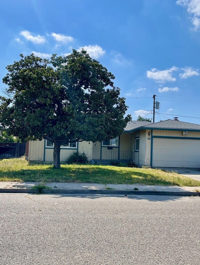 Primary Photo - 1561 Austin St