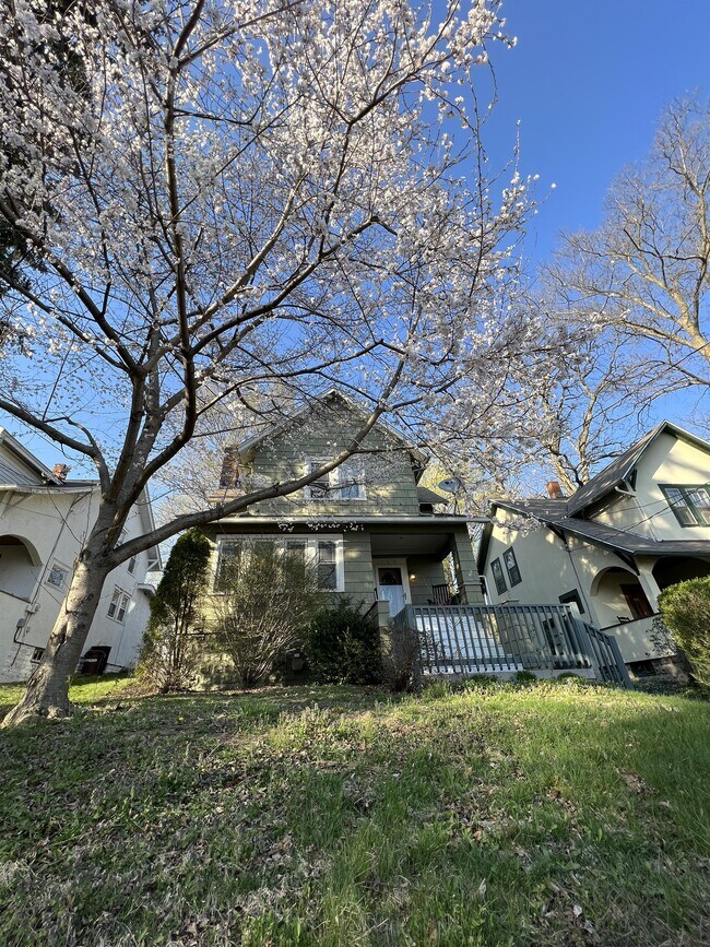 Building Photo - 519 School St