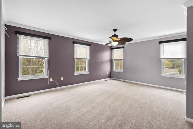 Building Photo - 3811 Ernst Dr