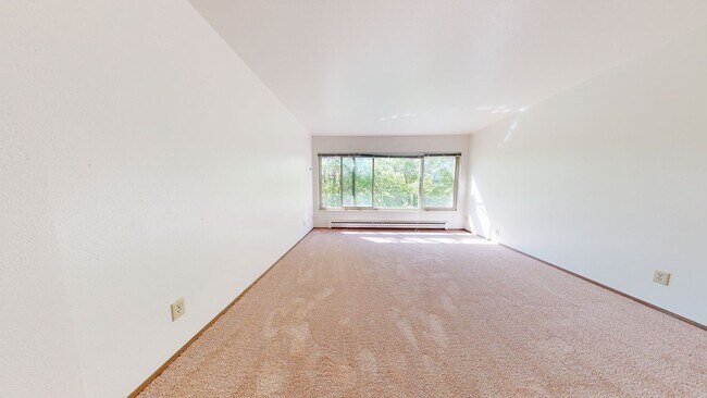 Interior Photo - Coho